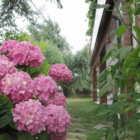 Uysallar Koy Evi İmroz 外观 照片